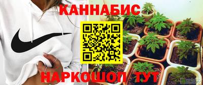 a pvp Будённовск