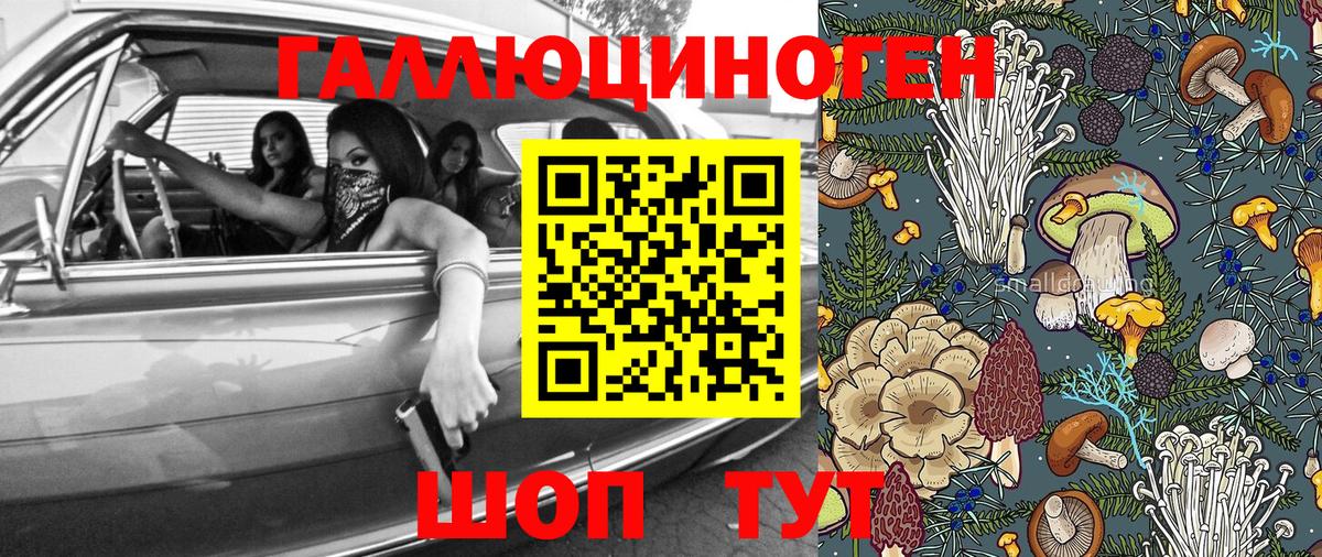 Псилоцибиновые грибы GOLDEN TEACHER  Вход с VPN  Псилоцибиновые грибы Magic Shrooms  Светлоград 